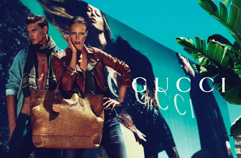 Gucci 2011紺VDƬ