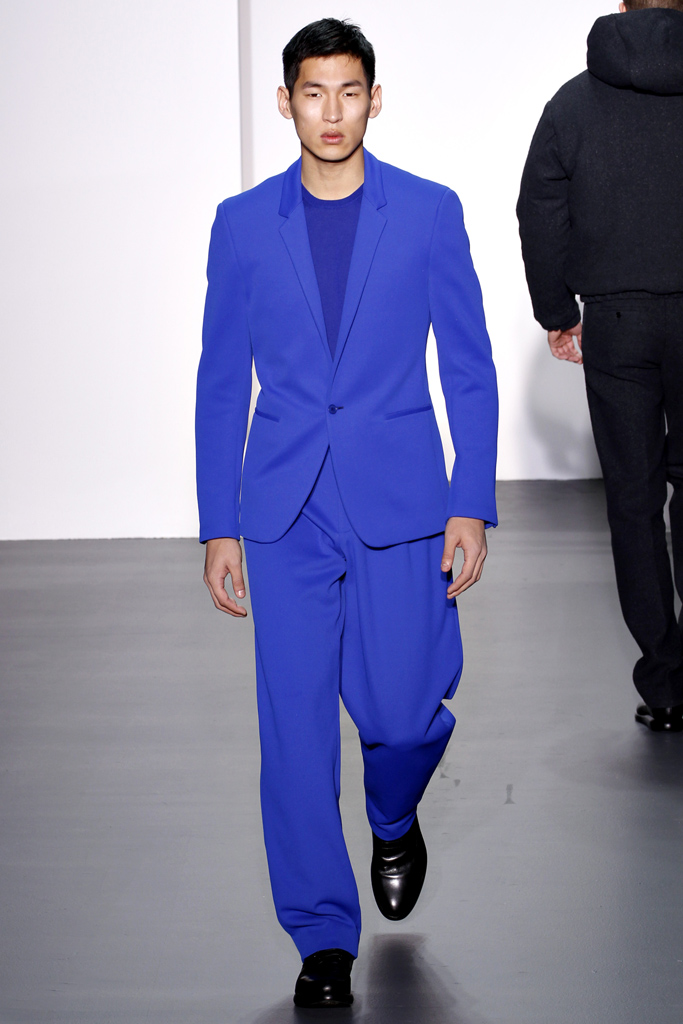 Calvin Klein 2011 ﶬbDƬ