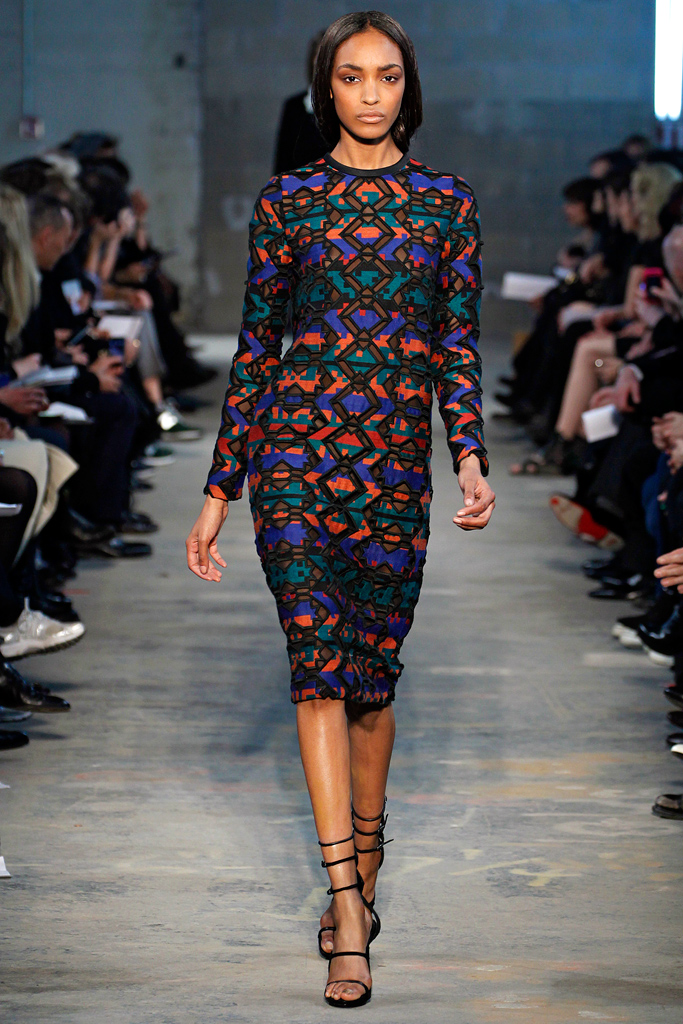 Proenza Schouler 2011ﶬ¸DƬ