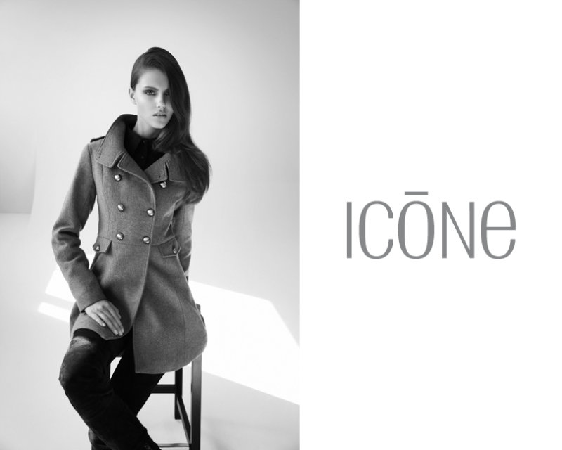 ICONE 2011ďVƬ DƬ