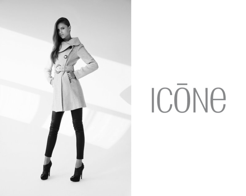 ICONE 2011ďVƬ DƬ