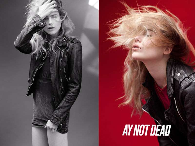 AY Not Dead 2011ﶬϵЏV DƬ