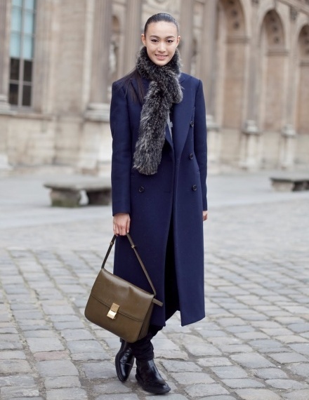 Celine 2011ĽĈDpDƬ