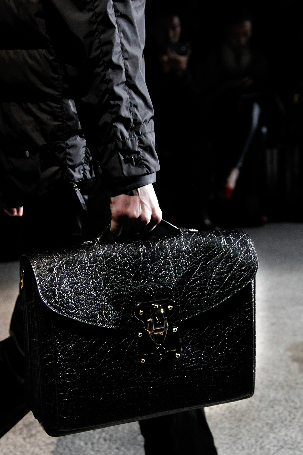 Louis Vuitton 2011ﶬbDƬ
