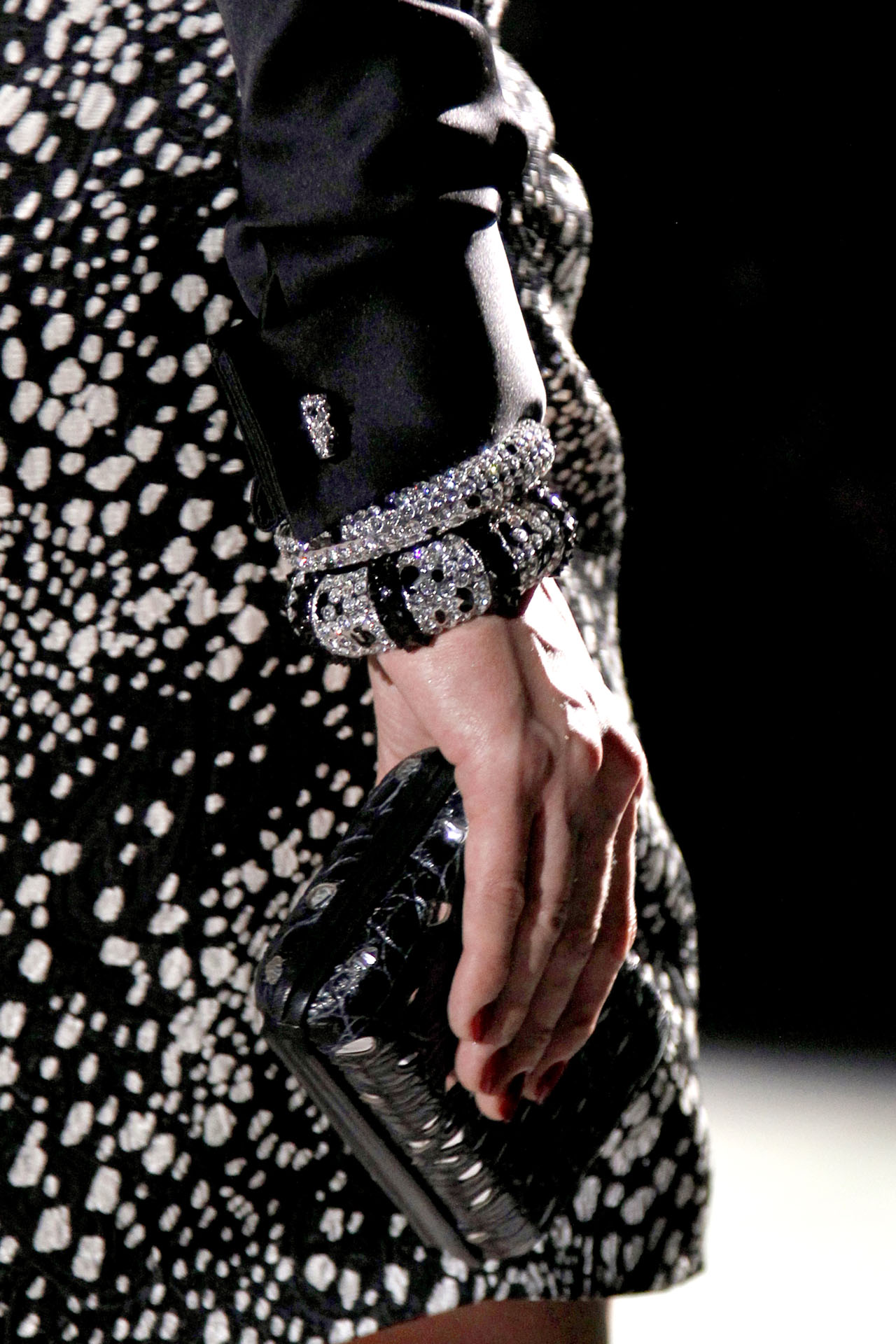Salvatore Ferragamo 2011ﶬDƬ