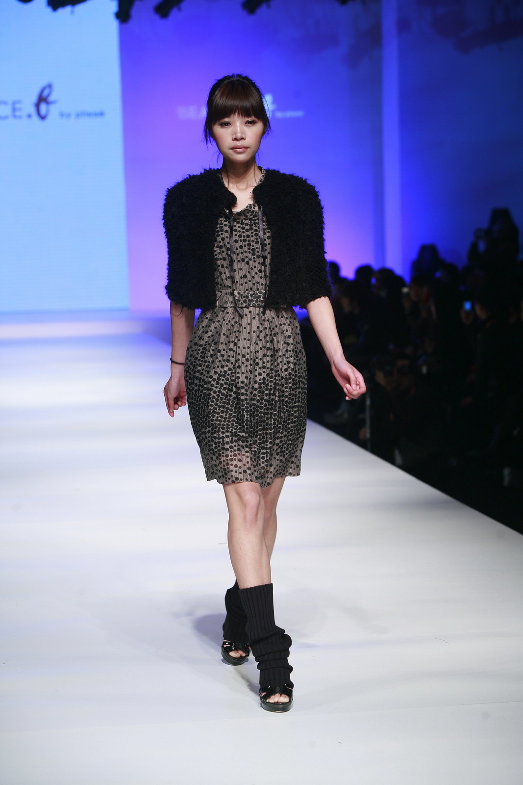 Beatrice B 2011ﶬDƬ