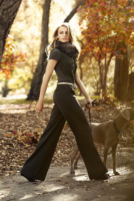 Ann Taylor 2011ﶬ LookBookDƬ