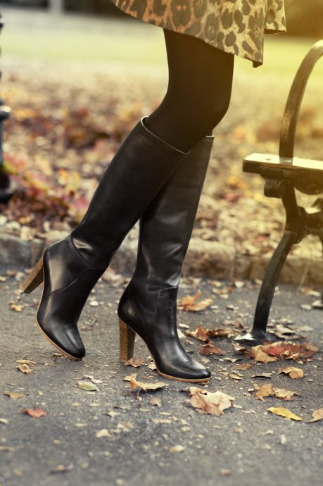 Ann Taylor 2011ﶬ LookBookDƬ