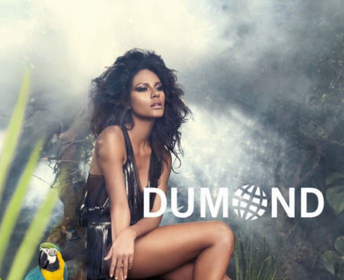 Dumond 2011＾VDƬ