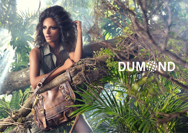 Dumond 2011＾VDƬ