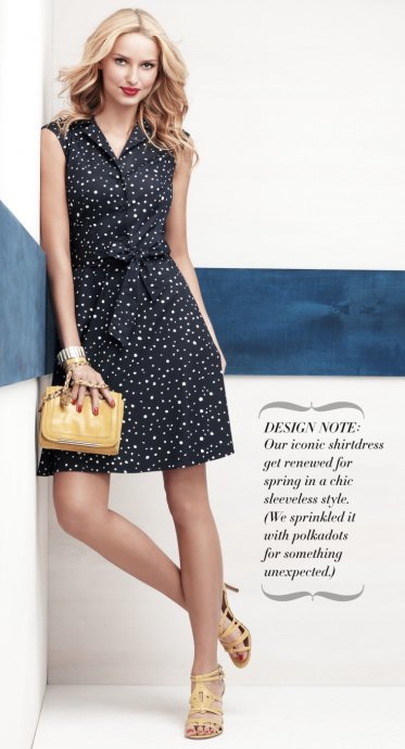 Ann Taylor 2011 LookBoookDƬ