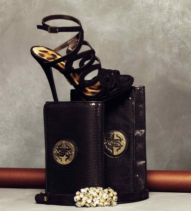 Roberto Cavalli 2011 LookBookDƬ