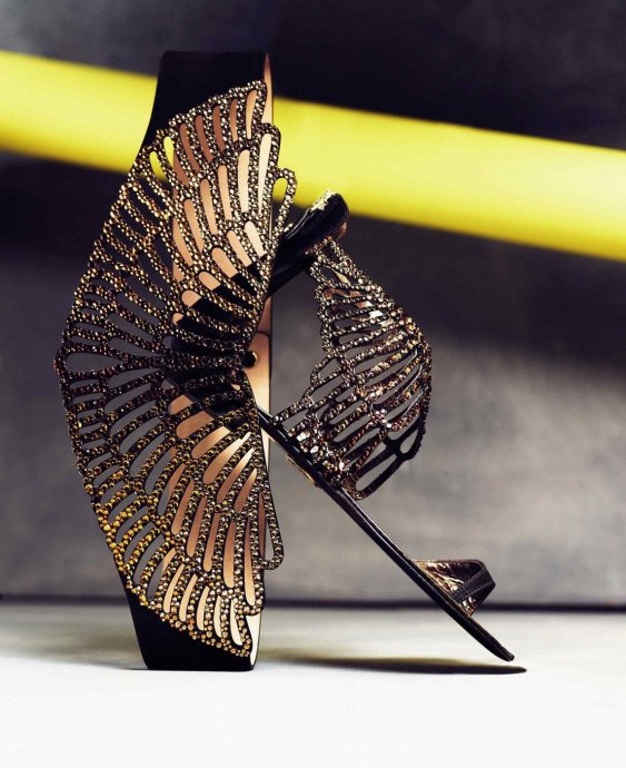 Roberto Cavalli 2011 LookBookDƬ