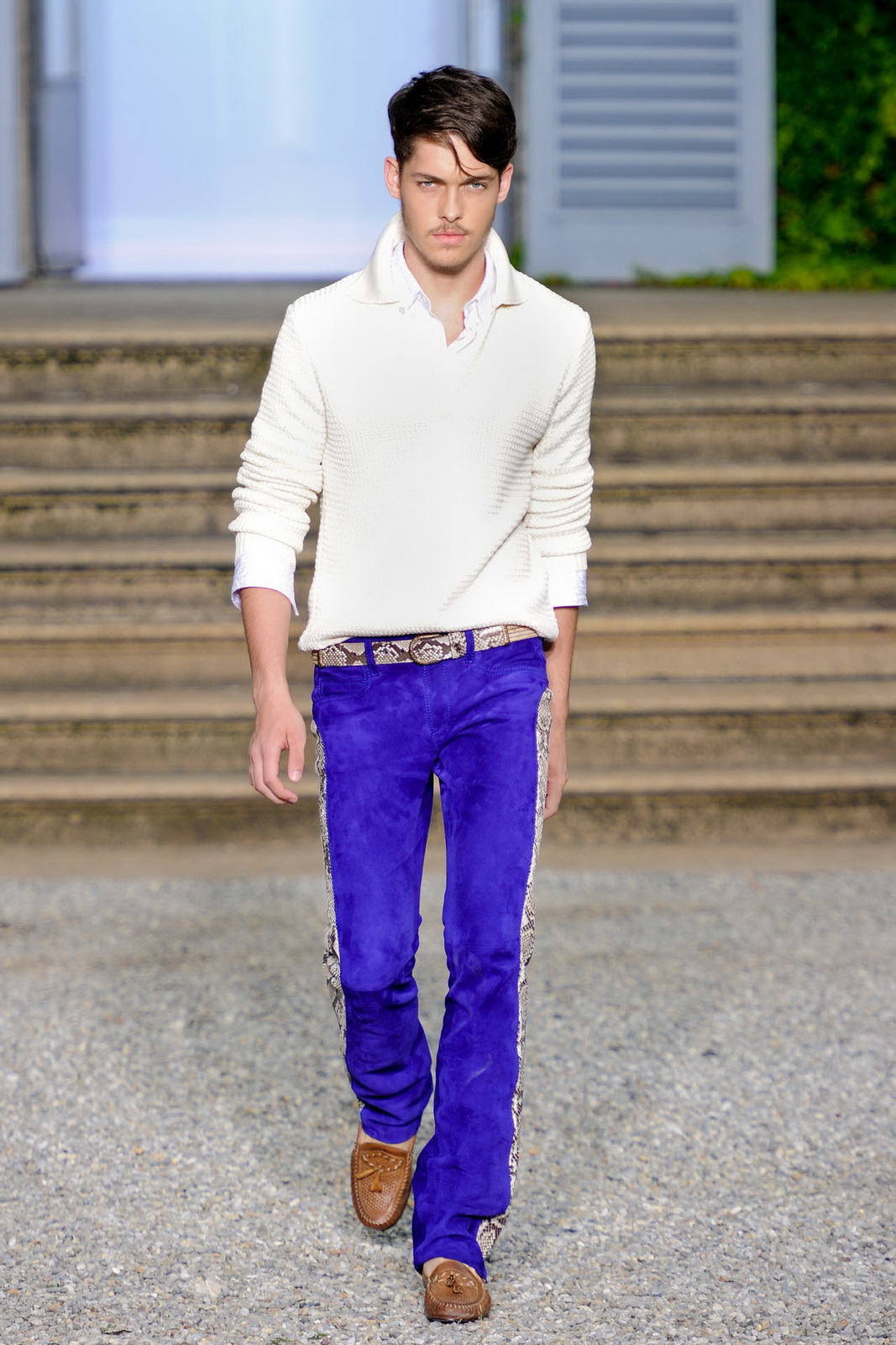 Roberto Cavalli 2012bDƬ