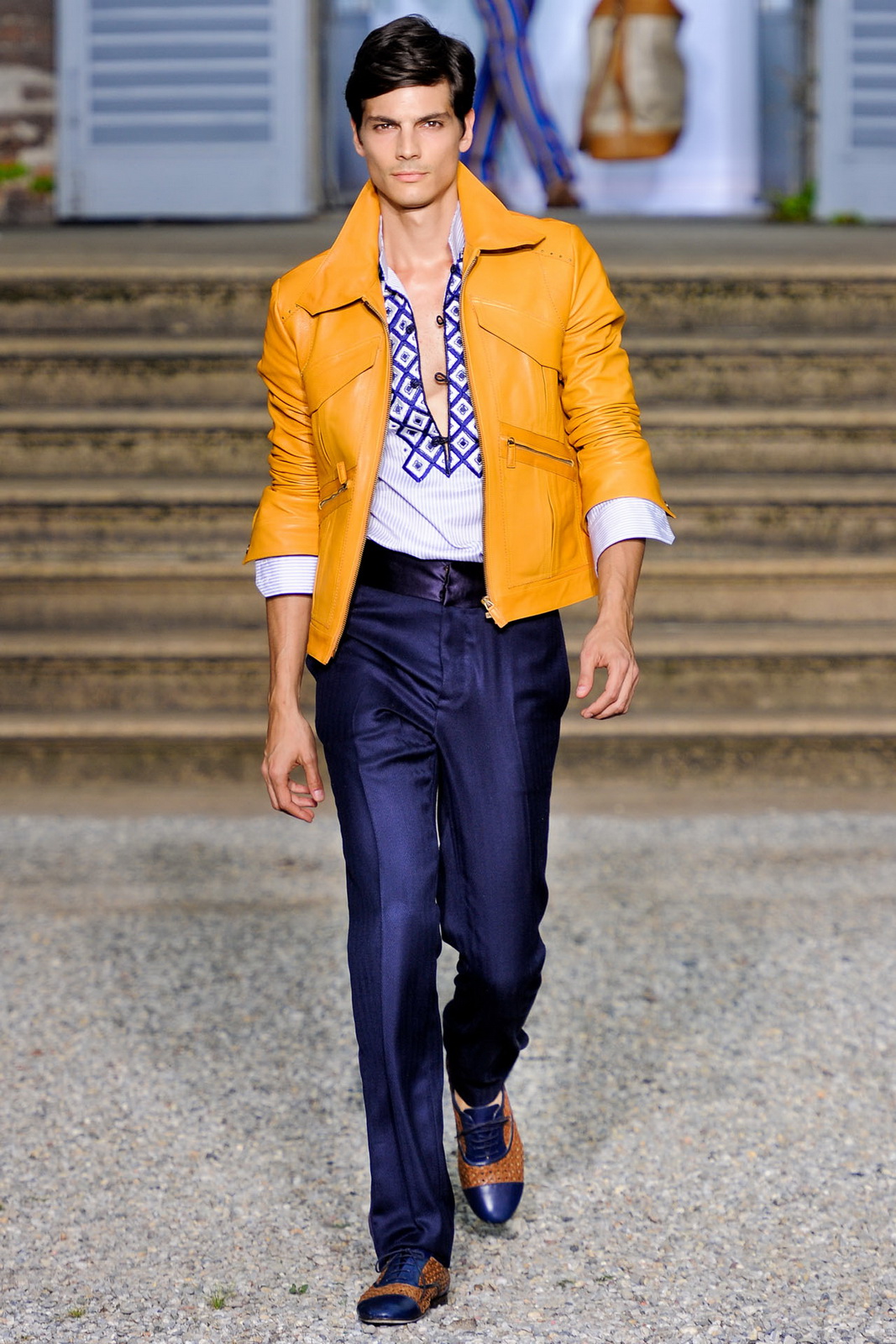 Roberto Cavalli 2012bDƬ