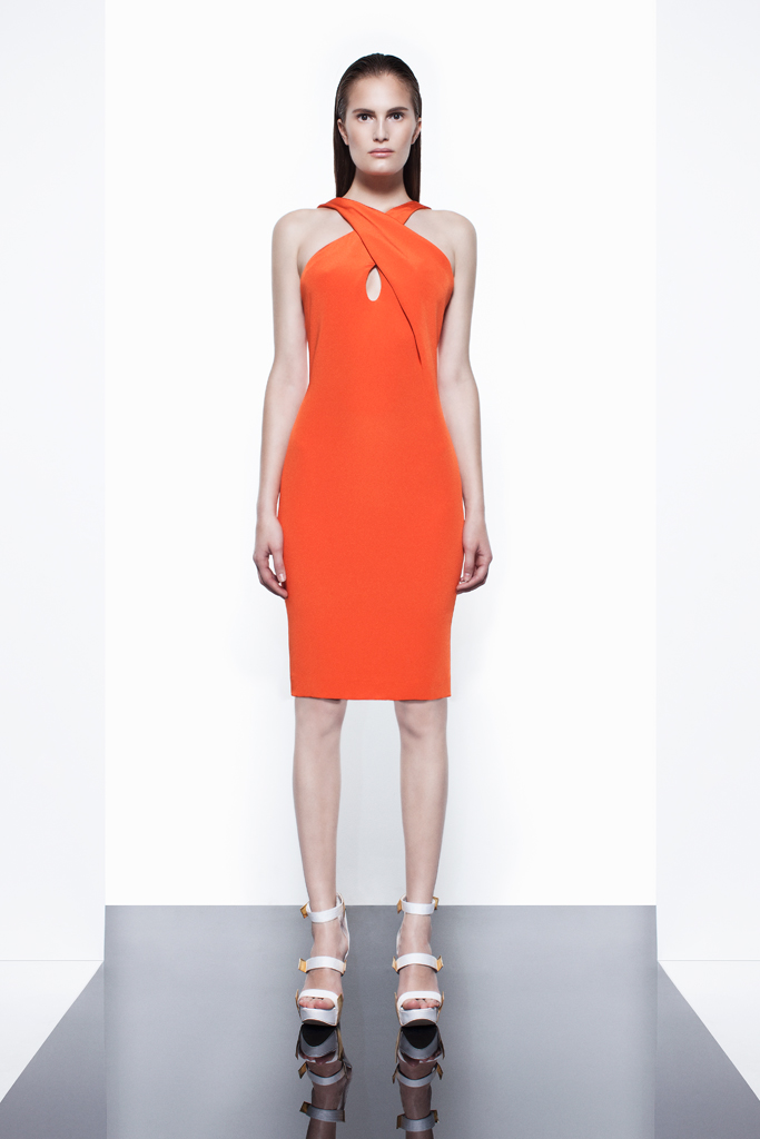 Cushnie et Ochs 2012紺ϵиDƬ