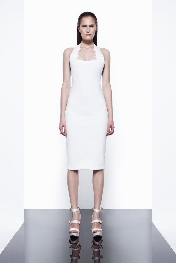 Cushnie et Ochs 2012紺ϵиDƬ