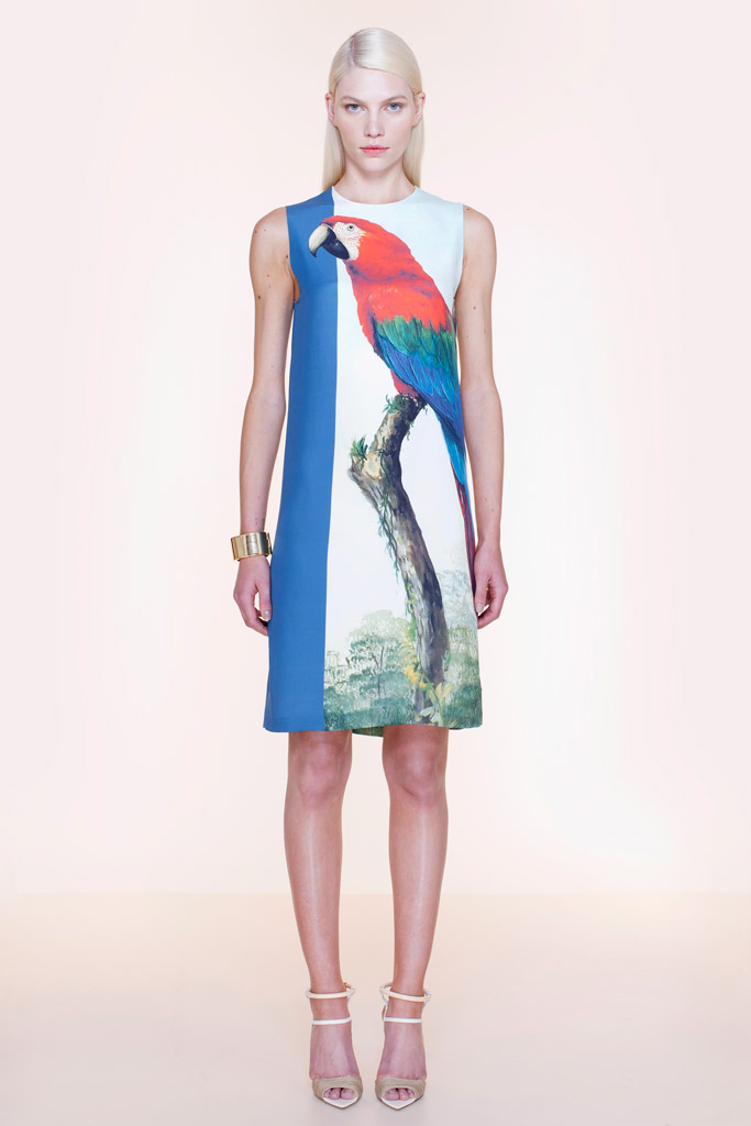 Pedro Lourenco 2012紺ϵиDƬ