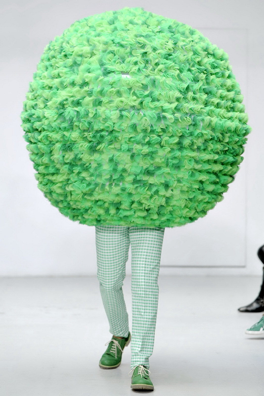 Walter Van Beirendonck 2012bDƬ