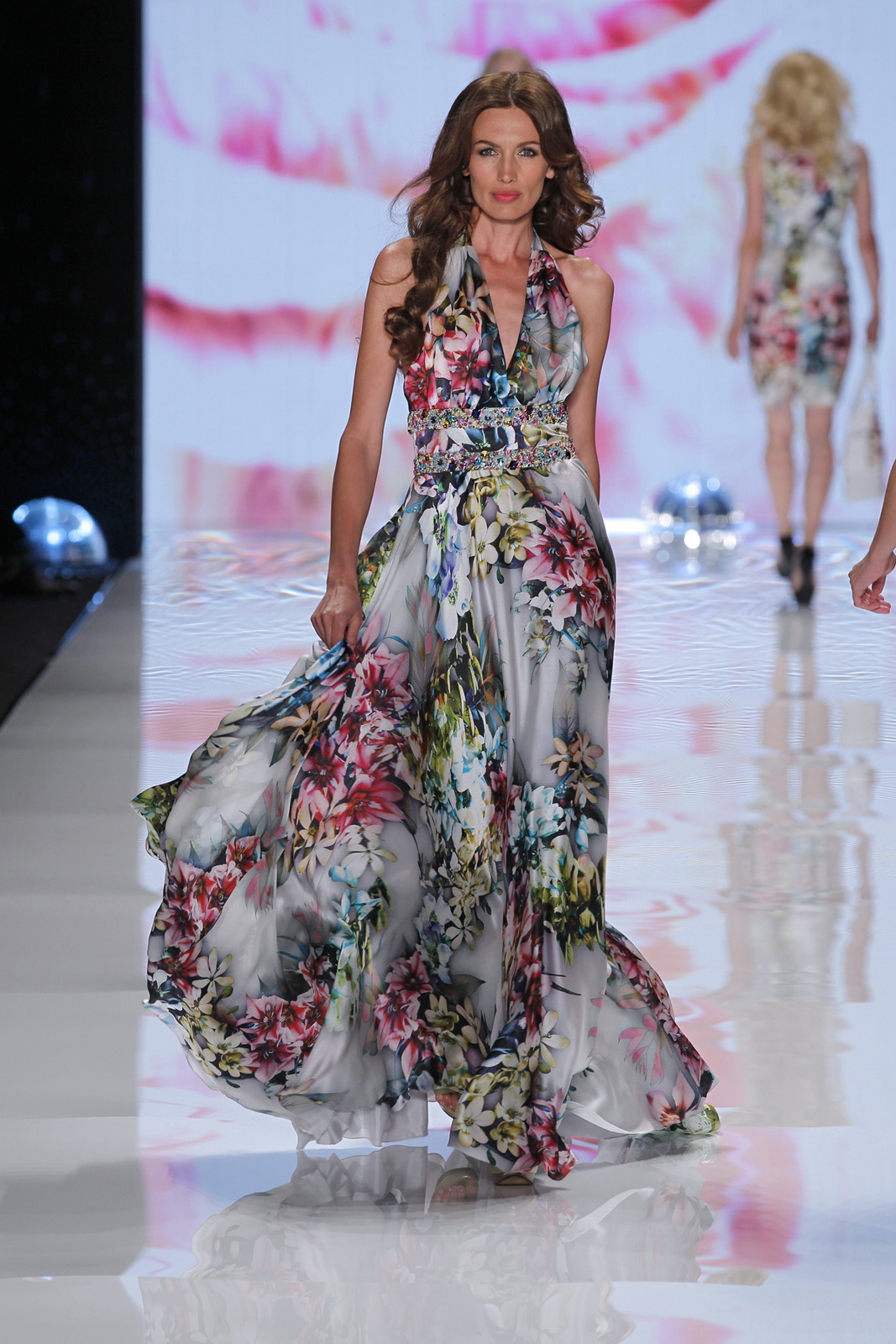 Basler 2012DƬ