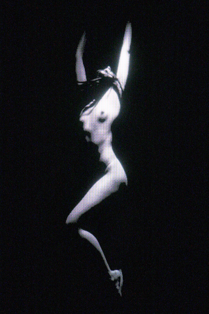 Gareth Pugh 2012DƬ