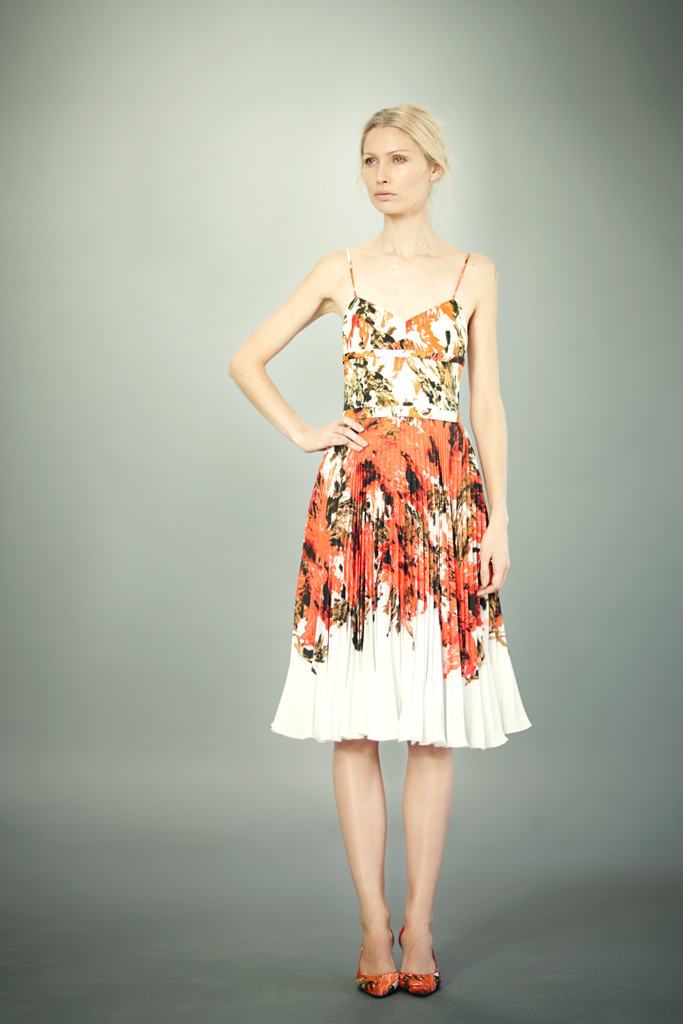 ERDEM 2012ϵ DƬ