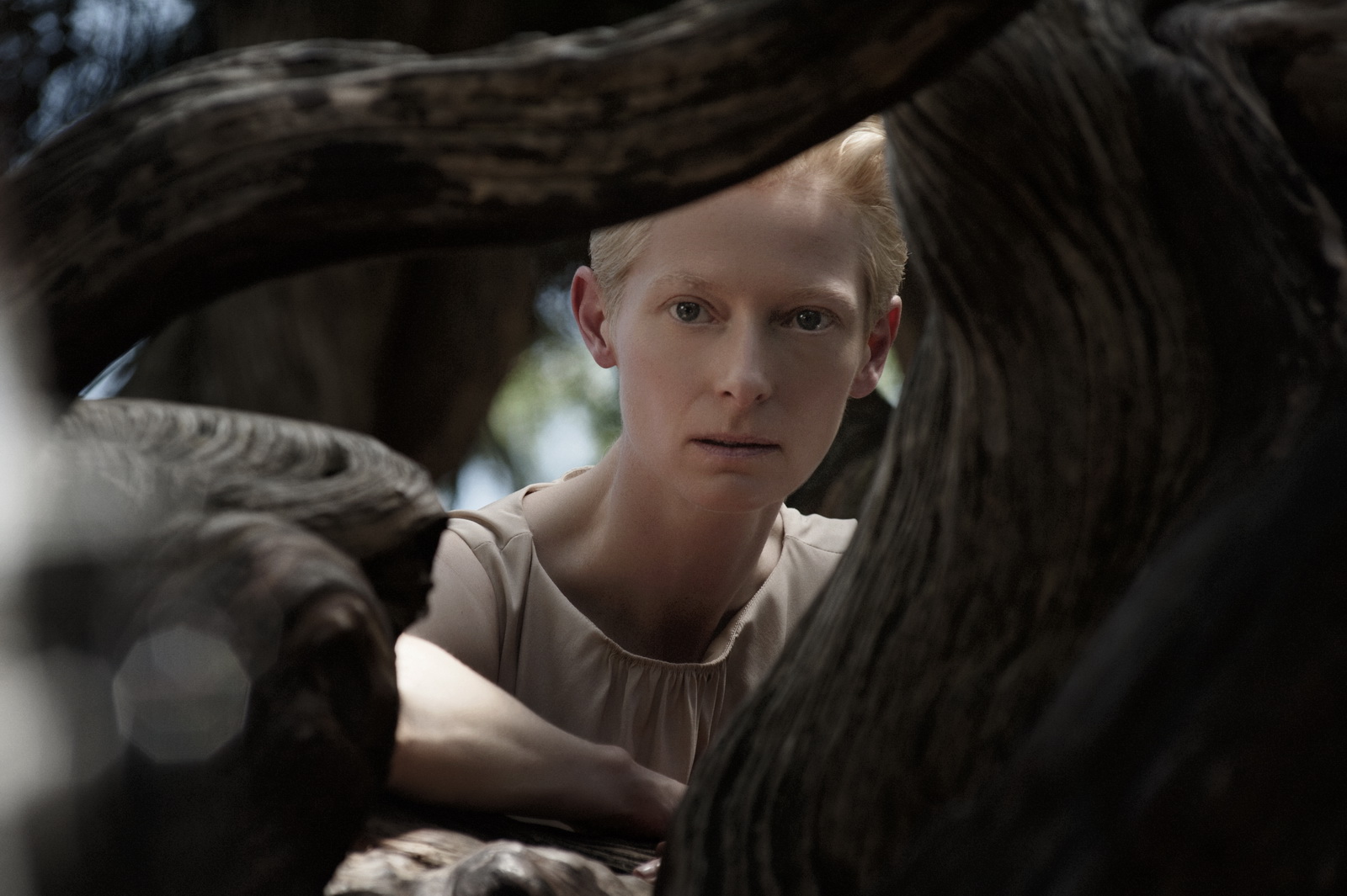 代言人Tilda Swinton New Nudo廣告及花絮圖高清圖片
