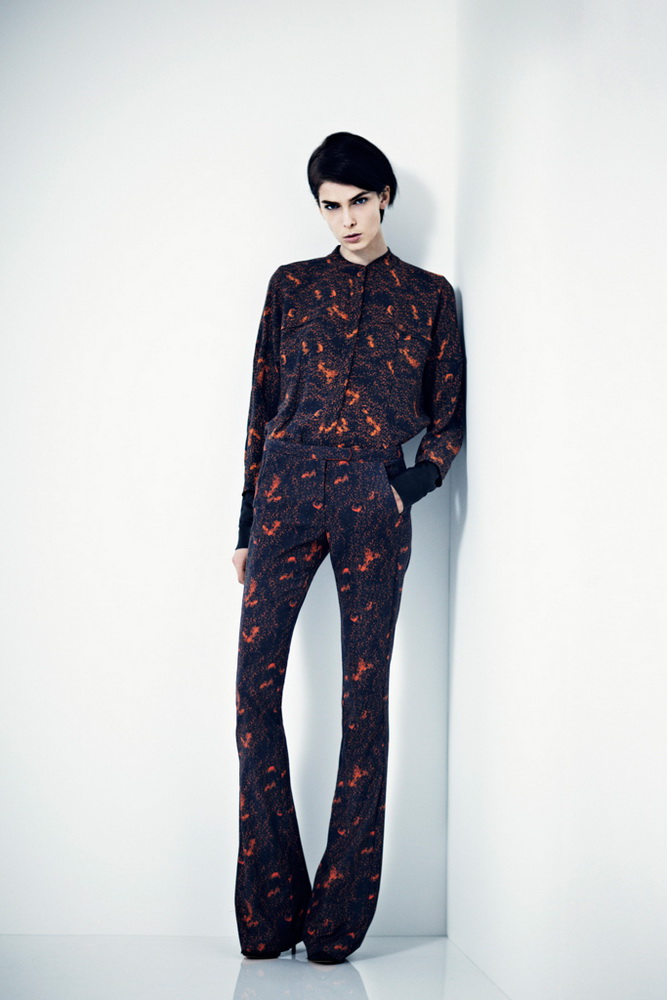 Willow 2012ﶬ¸DƬ