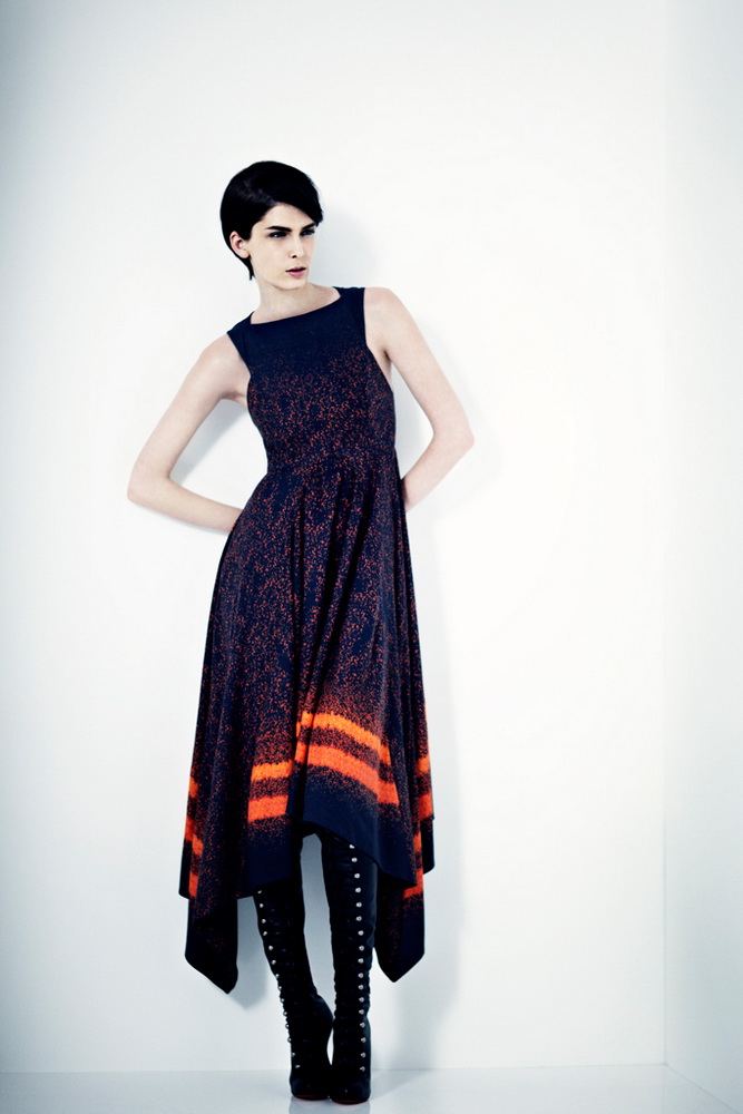 Willow 2012ﶬ¸DƬ