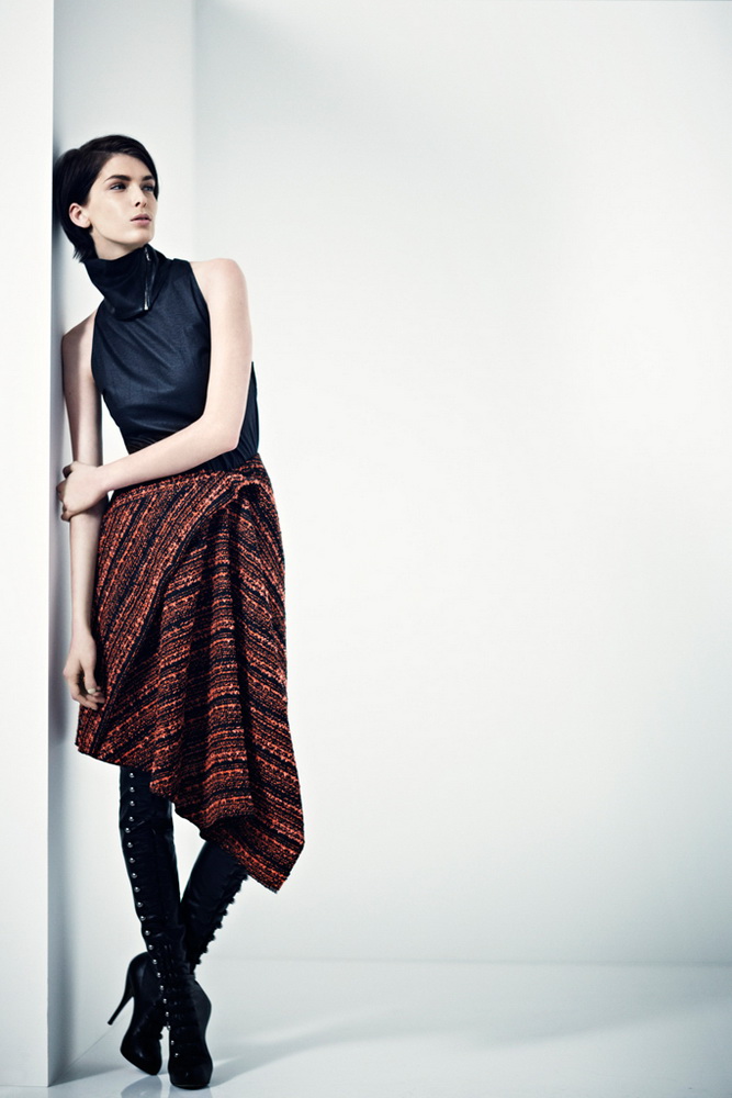 Willow 2012ﶬ¸DƬ