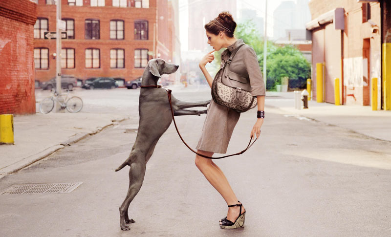 Longchamp 2012ϵЏV DƬ