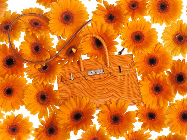 Hermes Tiny ִϵLookbook DƬ