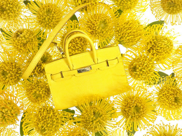 Hermes Tiny ִϵLookbook DƬ