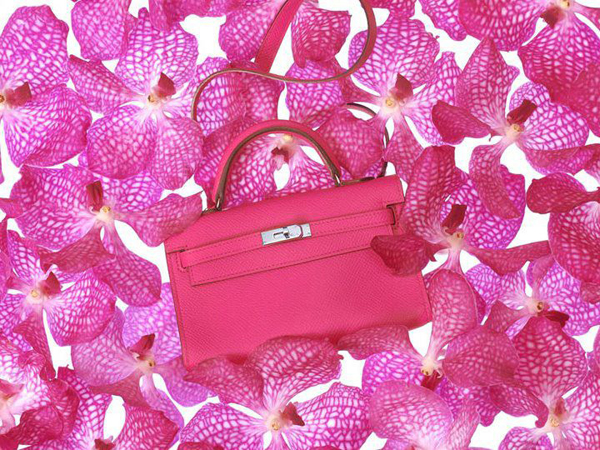 Hermes Tiny ִϵLookbook DƬ
