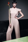 Max Mara 2012ϵЏV 