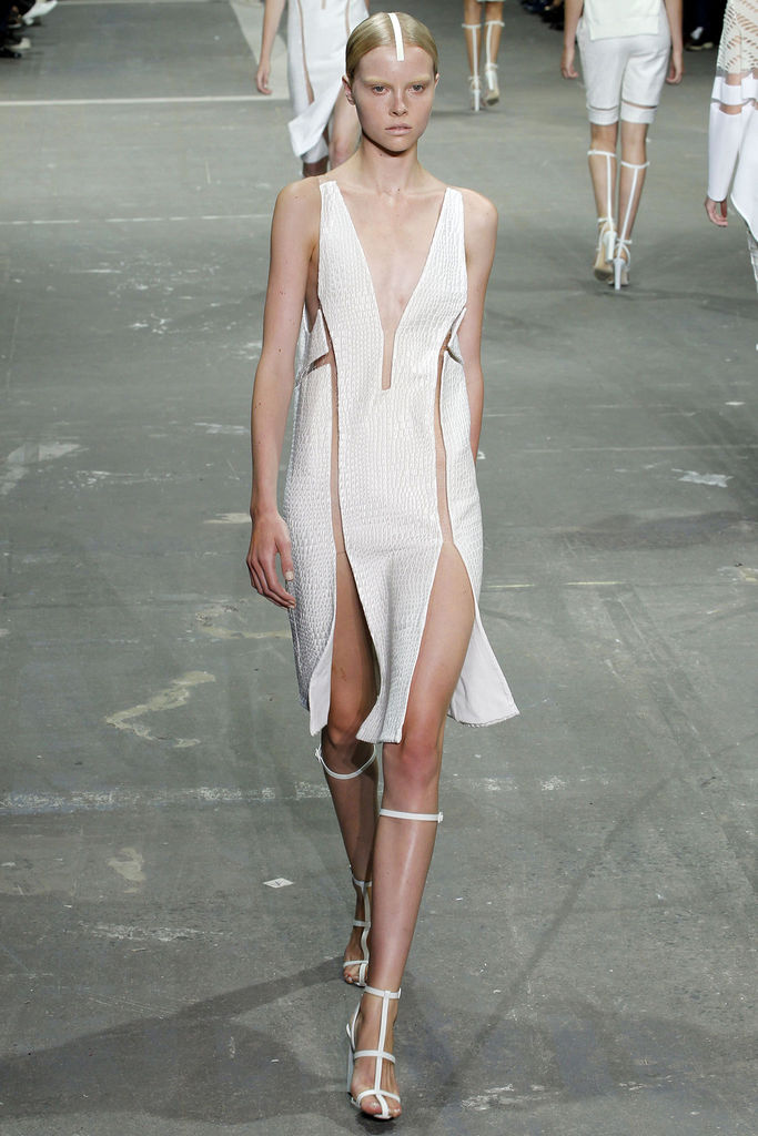 Alexander Wang 2013DƬ