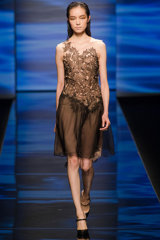 Alberta Ferretti 2013DƬ