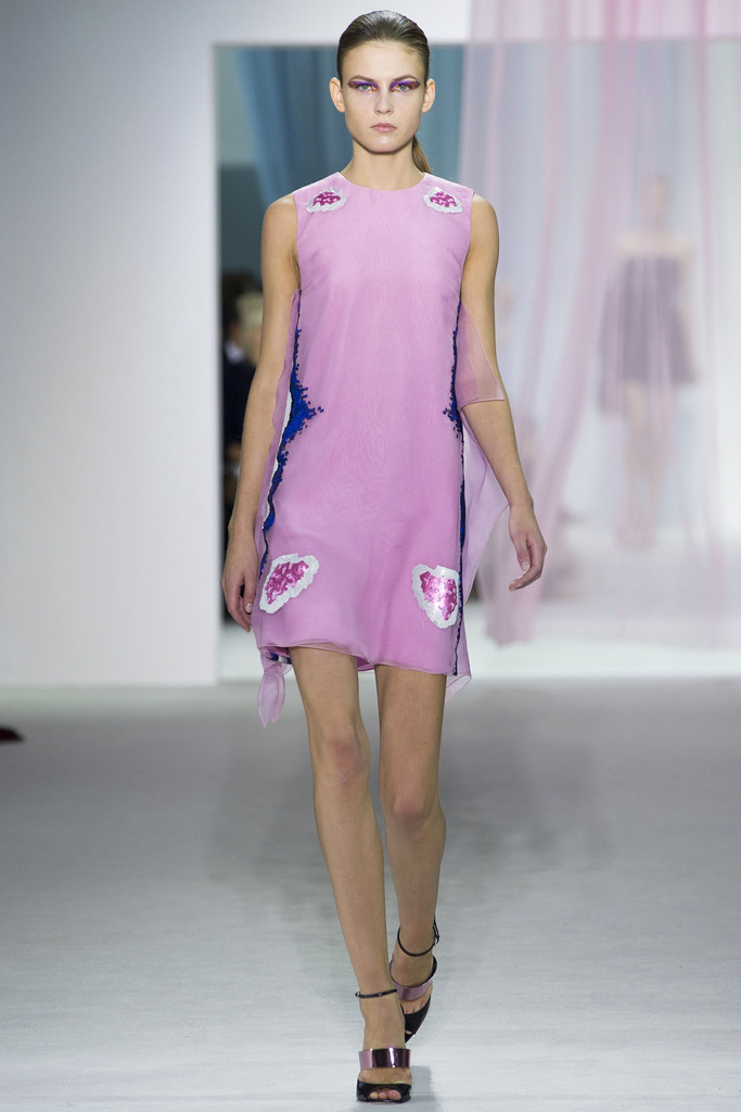 Christian Dior 2013DƬ