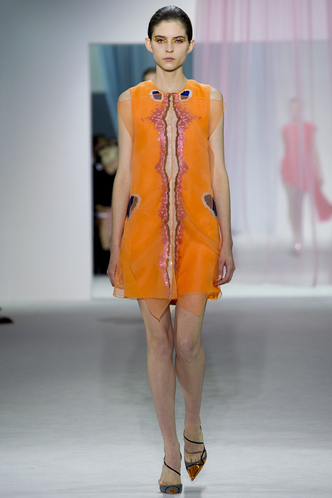 Christian Dior 2013DƬ