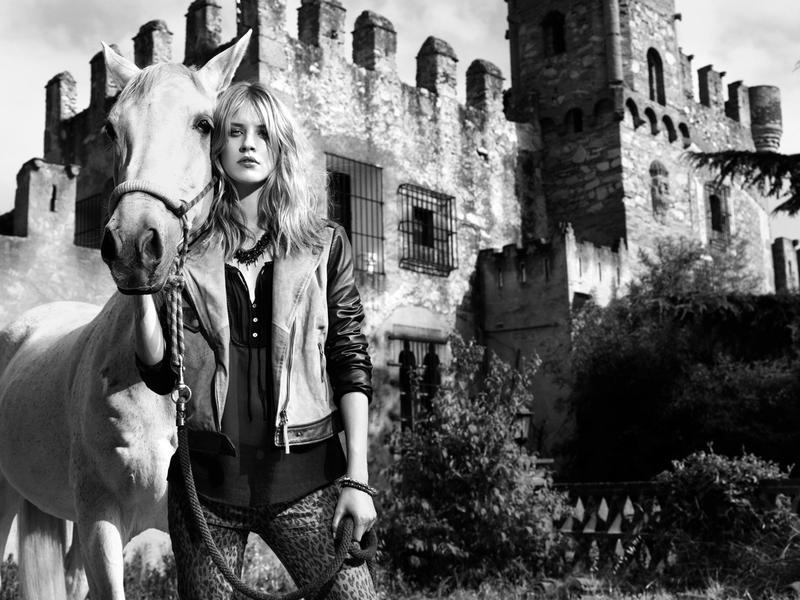 Stradivarius 2012 ﶬVDƬ