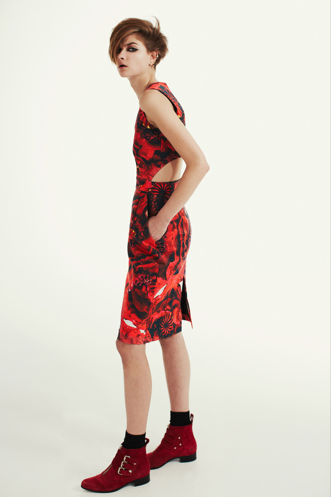 Preen By Thornton Bregazzi 2013DDƬ