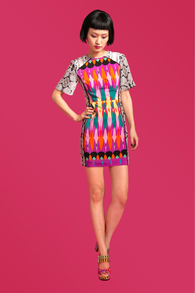 Nanette Lepore 2013DDƬ