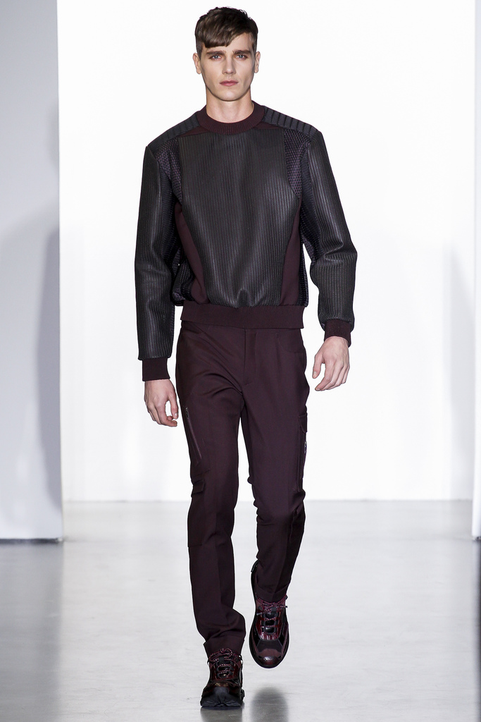 Calvin Klein Collection 2013ﶬbDDƬ