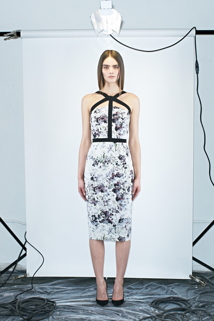 Cushnie Et Ochs 2013DDƬ