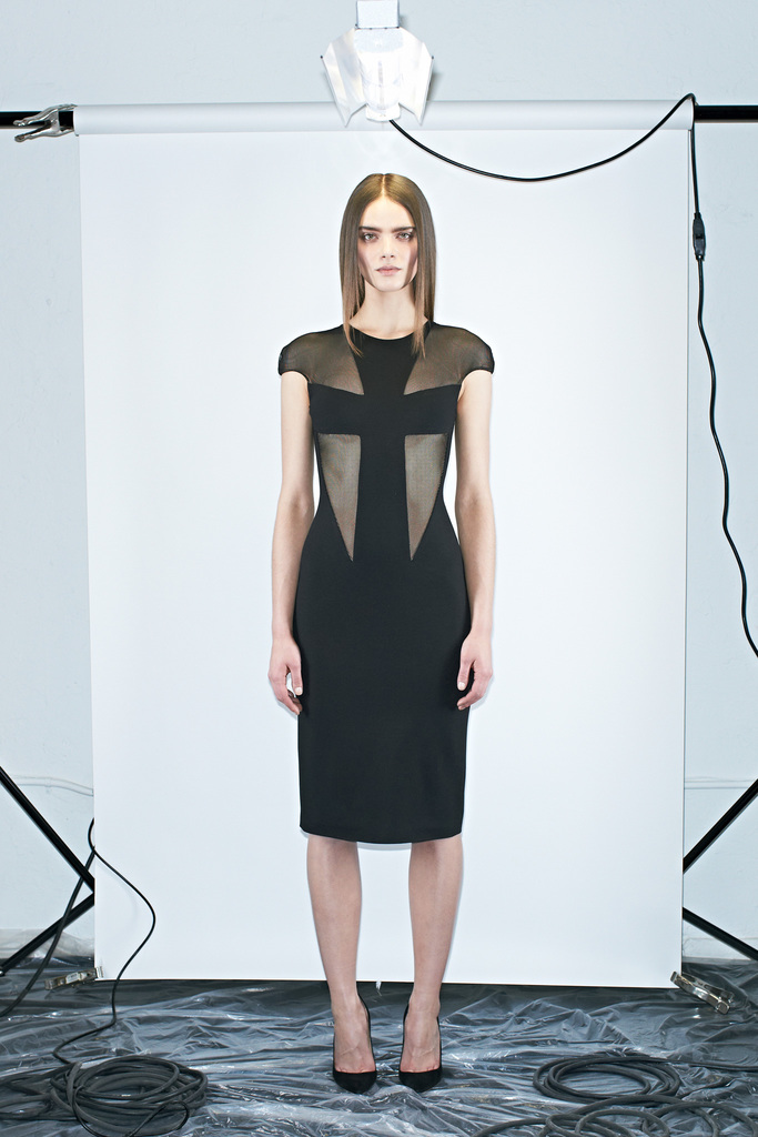 Cushnie Et Ochs 2013DDƬ