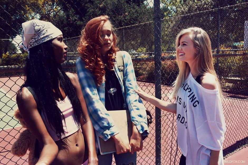 Wildfox 2013 LookbookDƬ