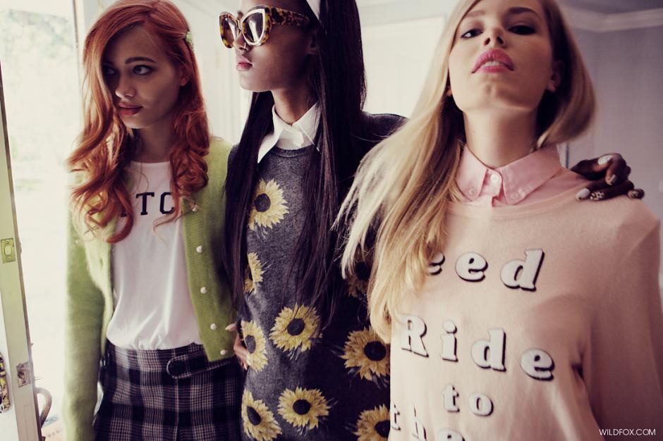 Wildfox 2013 LookbookDƬ