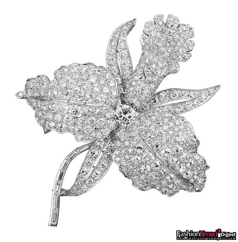 自然之師：Orchid 胸針<br>
鉑金及鉆石，1928年<br>
<br>
很多作品都展現了1920年代非常流行的日本風格對珠寶設計的影響，譬如這枚盛放的 Orchid 胸針，以鉑金全鋪鑲的圓形切割鉆石描繪招展的花瓣，花芯由一顆圓形切割鉆石妝點，嫩枝以長方形切割鉆石勾勒。<br>
<br>
Van Cleef & Arpels 梵克雅寶典藏 